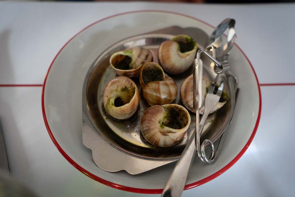 national dish of france snails