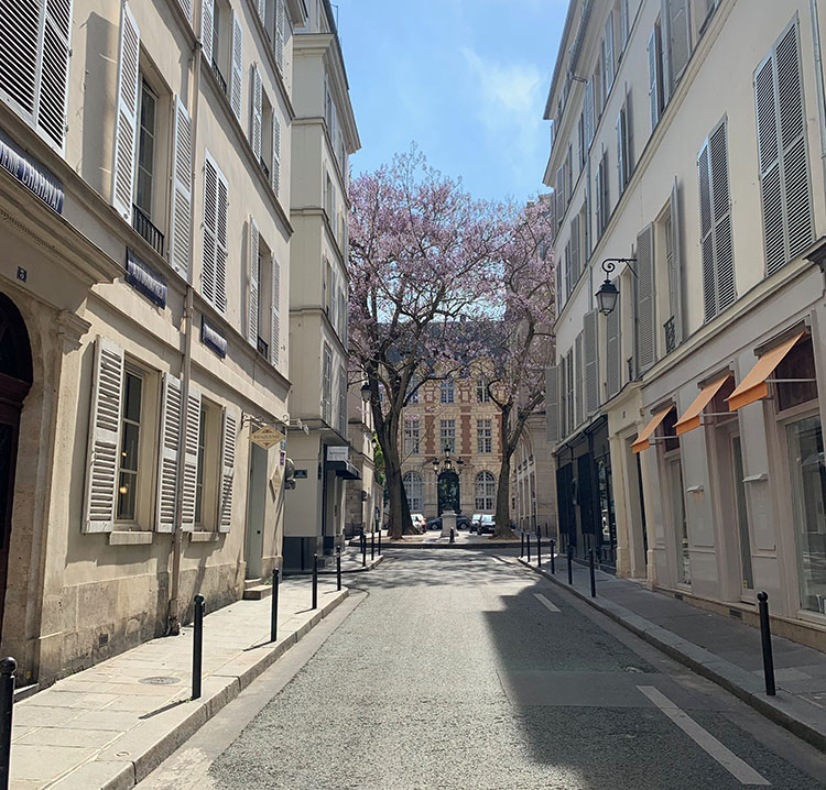 Rue de Furstemberg Paris