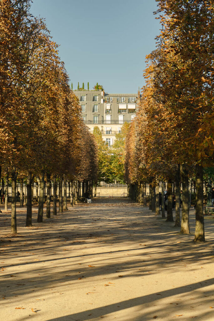Paris in fall