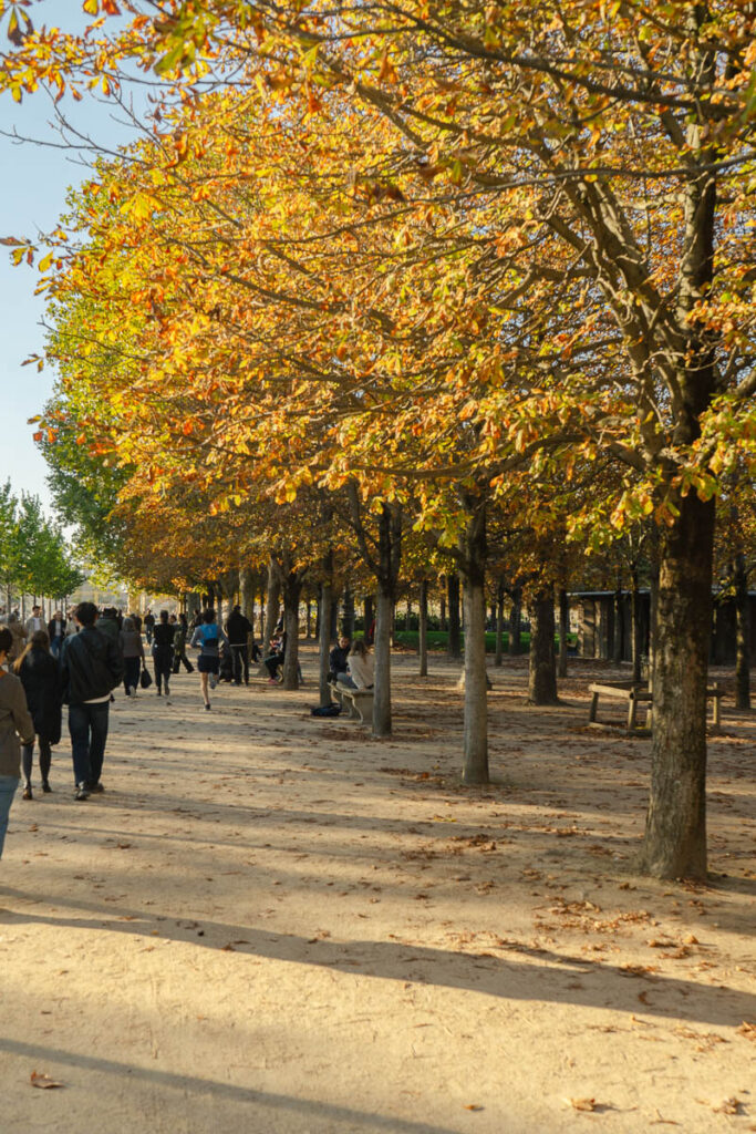 weather in Paris in fall